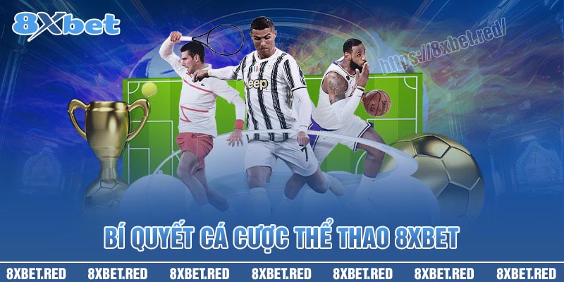 Bí quyết ẵm trọn tiền thưởng tại Thể thao 8XBet