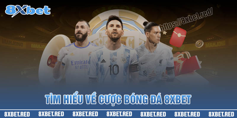 Tìm hiểu về cá cược bóng đá 8XBet